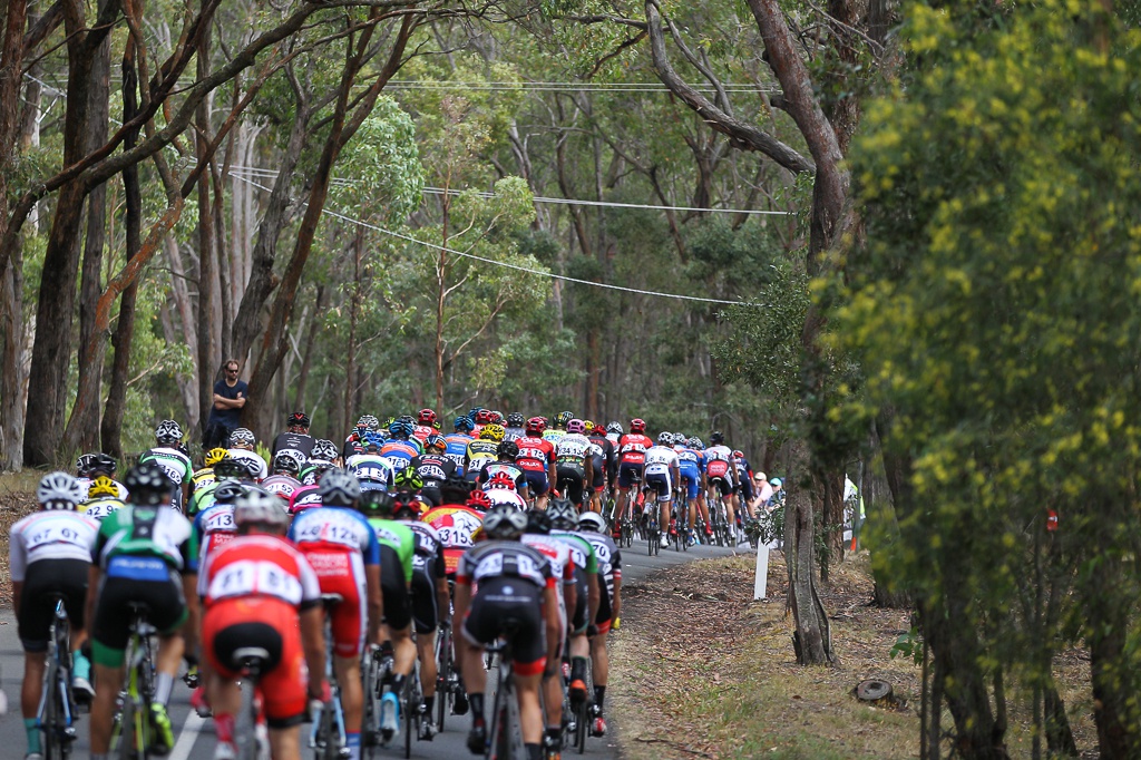 The peloton descends Fiskin Road towards Buninyong for the start of another lap.