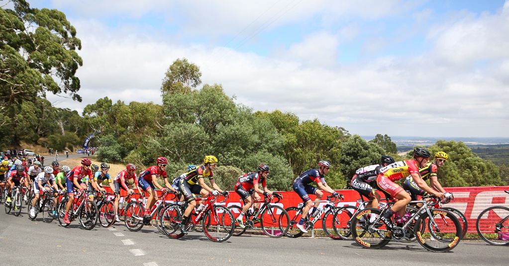 The peloton begins the top section of the course before descending back towards Buninyong.