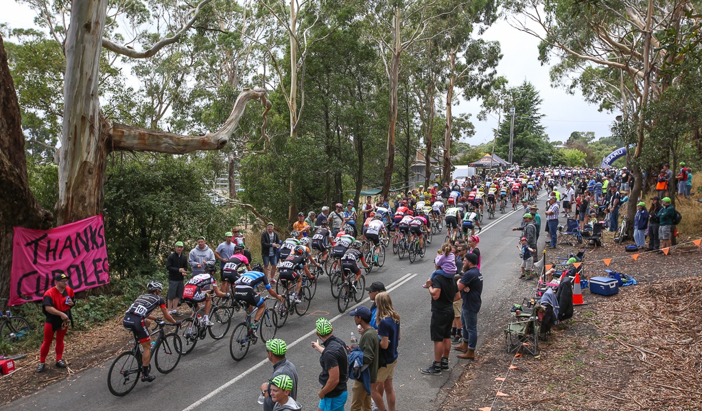 The peloton climbs the upper reaches of the 3km Mount Buninyong climb. It's worth noting that the actual summit of Mount Buninyong is a further few kilometres up the road, and the views from the summit are incredible.