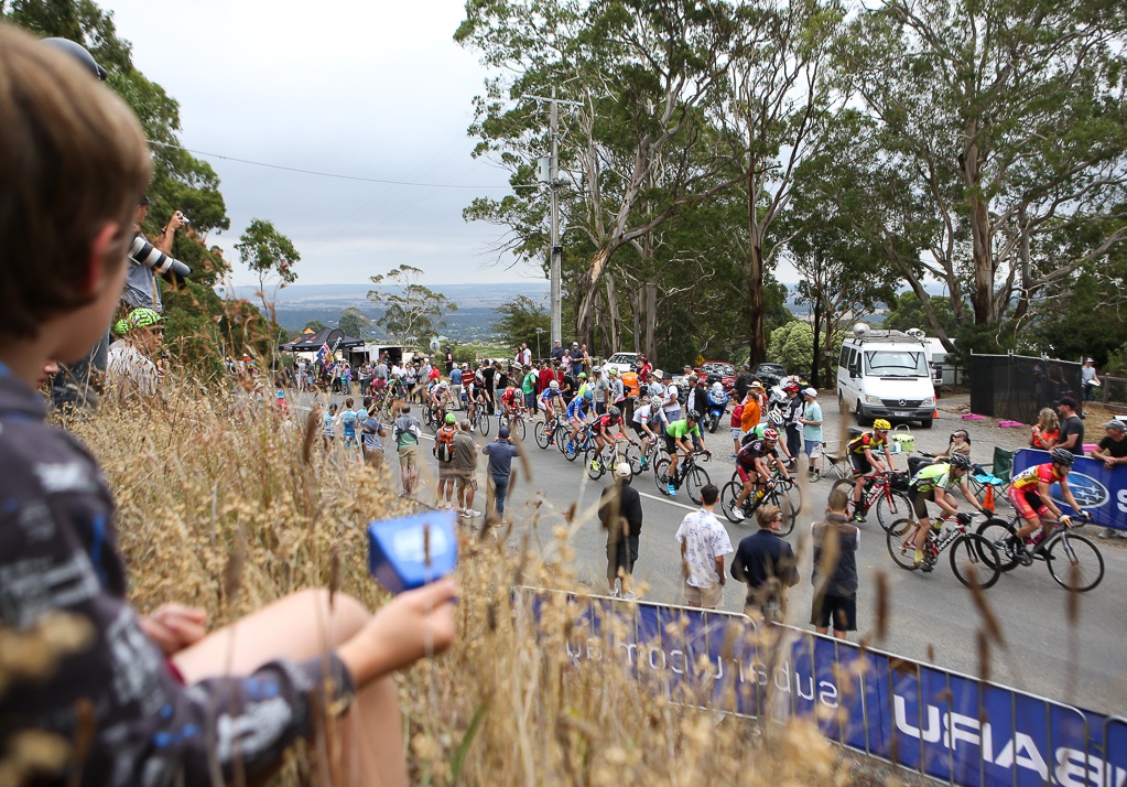 Mens Elite Road Race, National Championship