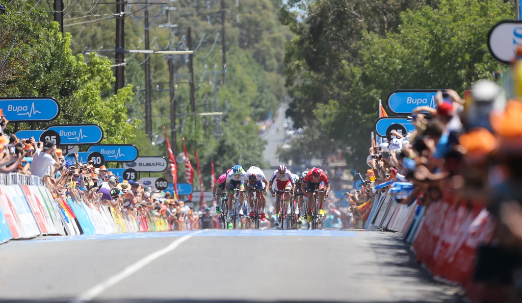 Santos Tour Down Under, Stage 4 144.5KM Glenelg to Mount Barker , Adelaide on Jan. 23. 
Photo: Con Chronis