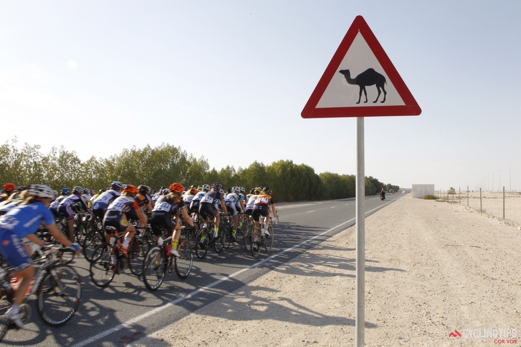 Many riders cite the cultural aspect of racing in Qatar as a non-racing highlight. As usual,  riders posted camel selfies on social media before select stages.