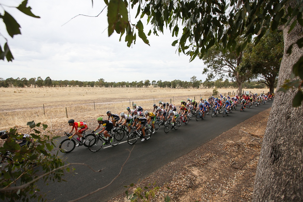 Jayco Herald Sun Tour Stage 3 Mitchelton Winery to Nagambie 146km  070215 Photo- Con Chronis -3B2A7671