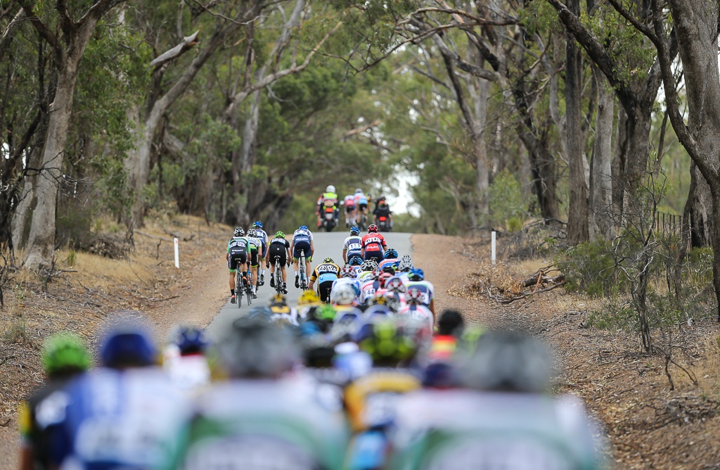 Jayco Herald Sun Tour Stage 3 Mitchelton Winery to Nagambie 146km  070215 Photo- Con Chronis -AE9P7627