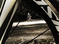 #wymtm2012 top of Top of Towonga Gap on our way to Falls Creek. Cracker of a day in the mountains ht