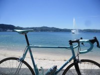 @cyclingtips Christmas in Wellington, NZ #WYMTM2012 http://t.co/LG3BkjfK