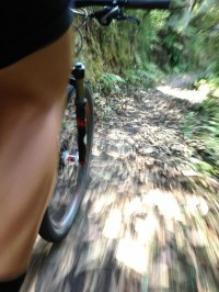 Forrest is undoubtedly the MTB Mecca of Victoria #singletrackheaven 
#WYMTM2012 #dirttrack #ECP #MTB