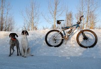 Winter in Alberta - finally warm enough for a ride with my two regular winter trainining partners.