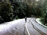 First snowfall, first tracks