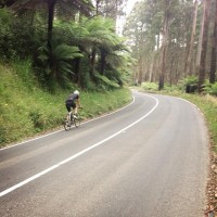 #wymtm2012 suffering through 3000m vertical in the Yarra ranges with @tomass http://t.co/D8z13Ixr