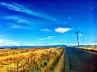 Summer riding near Longford, Tasmania. Fields of poppies ready for harvest. #WYMTM2012 http://t.co/O