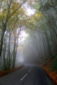 Fall ride in the fog near Bonneville, France