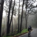 CyclingTips Instagram