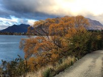 Not a bad place for a late afternoon run. #queenstown #weekendawayfrombike - via CyclingTips Instagram feed