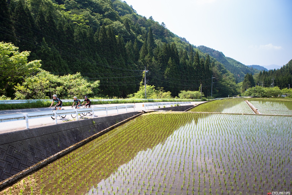 Day 2 took us to completely different terrain with pine forests, rice fields, and lots of climbing