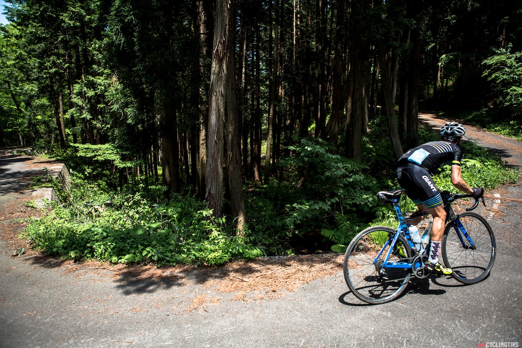 Again, local knowledge wins with this obscure back road that Aki found for us through the forests