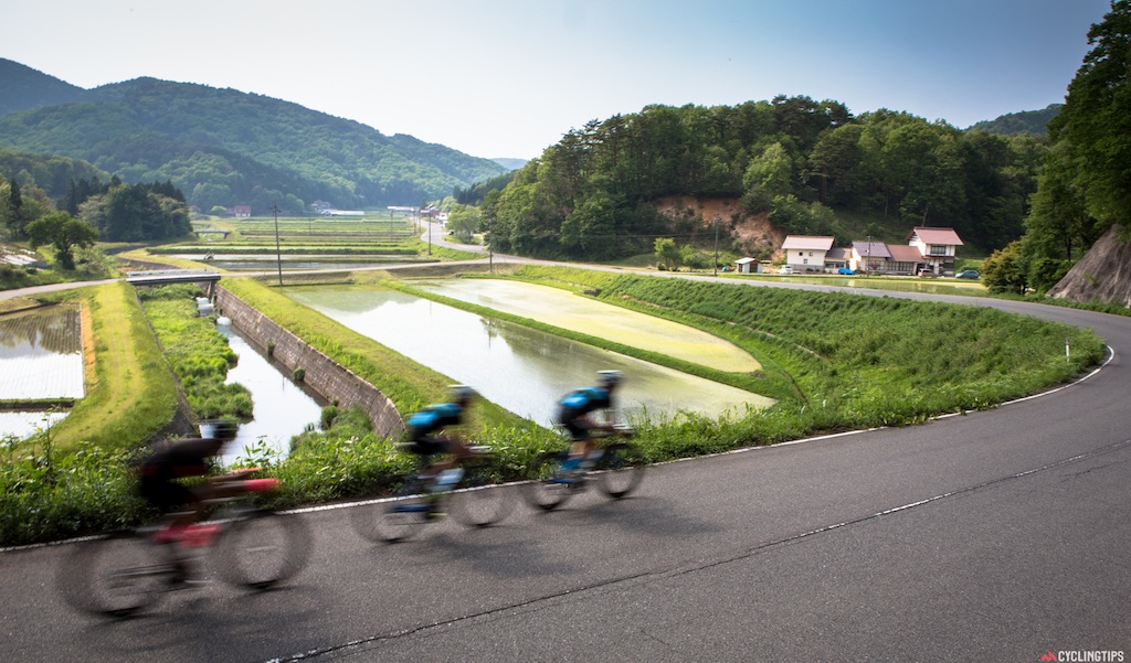 Riding on quiet roads through the rice fields