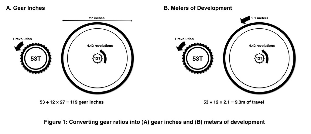 Fig1